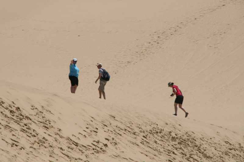 Nieuw-Zeeland 2011 - 0361